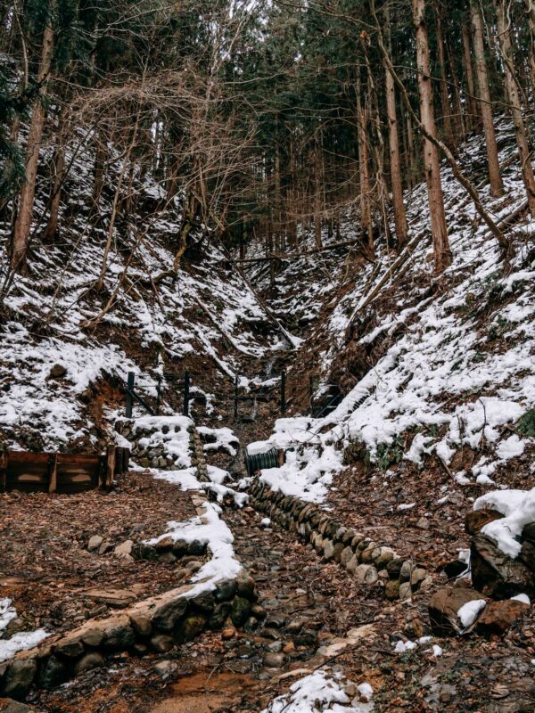 Chubu - Snow Monkey Park548- BLOGPOST HQ