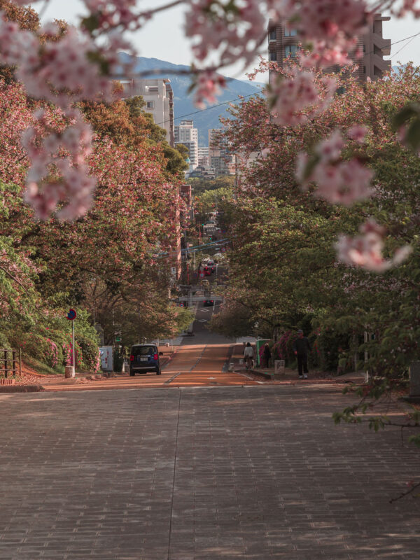 Fukuoka - Cherry Blossoms in Nishi Park21- BLOGPOST HQ