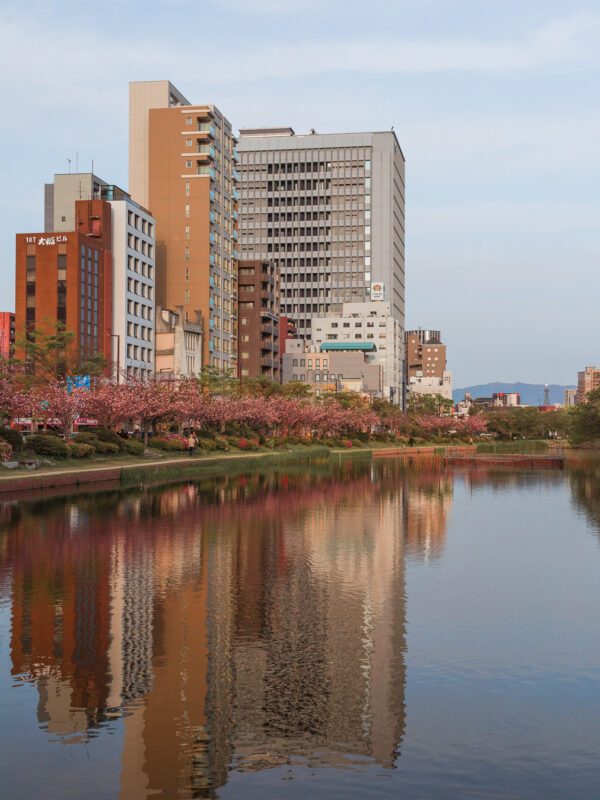 Fukuoka - Cherry Blossoms in Ohori Park3- BLOGPOST HQ