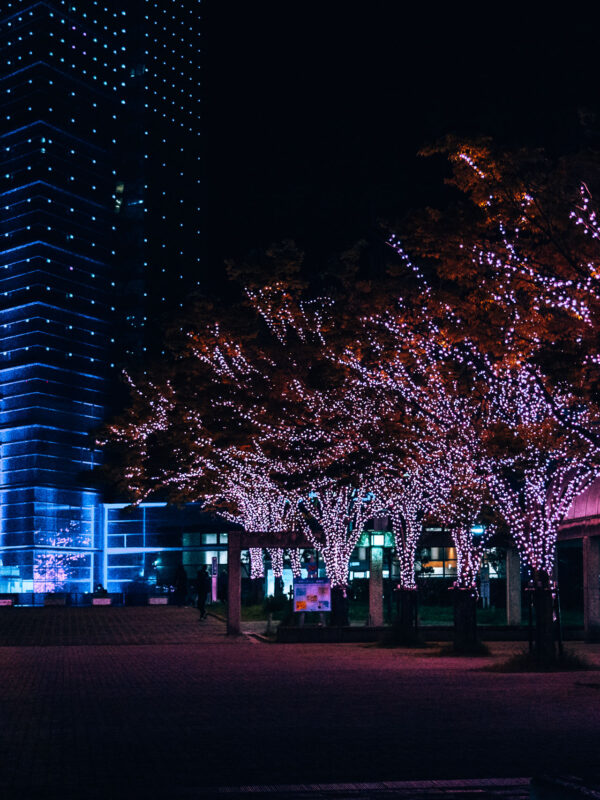 Fukuoka - Fukuoka Tower beachside and sakura 29- BLOGPOST HQ