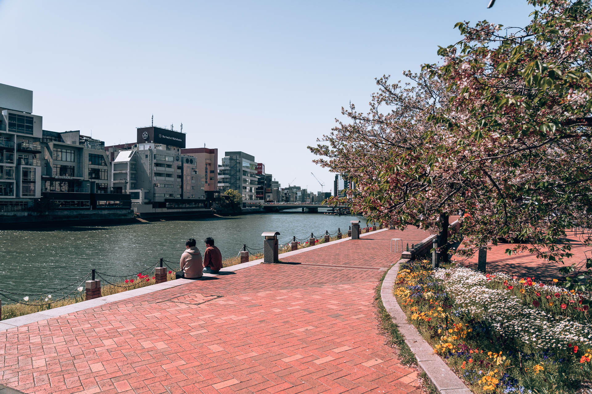 Fukuoka - Nakasu riverside and Seiryu Park2- BLOGPOST HQ