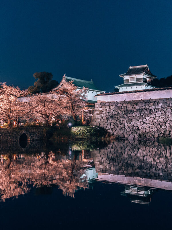 Fukuoka - Ohori Park Sakura Festval nighttime43- BLOGPOST HQ