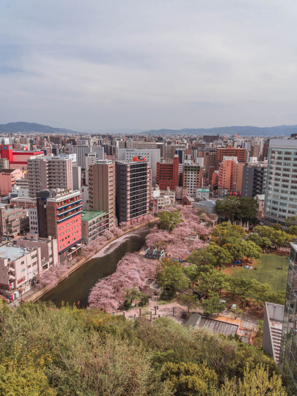 Fukuoka - Tenjin Central Park Observation Deck Sakura14- BLOGPOST HQ