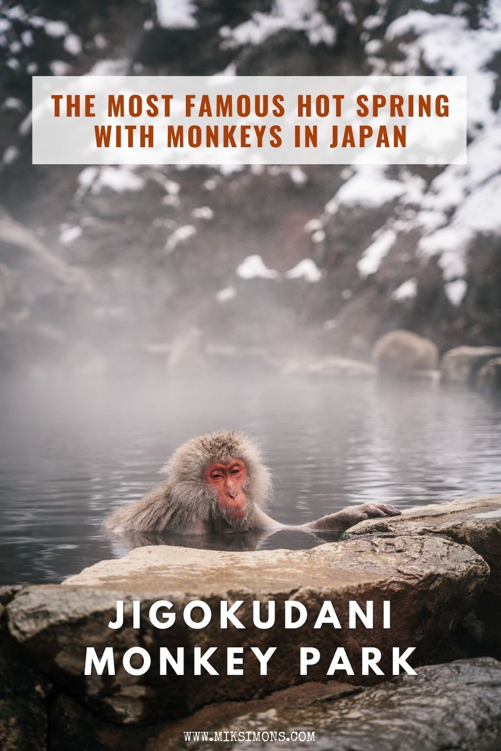 JIGOKUDANI MONKEY PARK - THE MOST FAMOUS HOT SPRING WITH MONKEYS IN JAPAN2