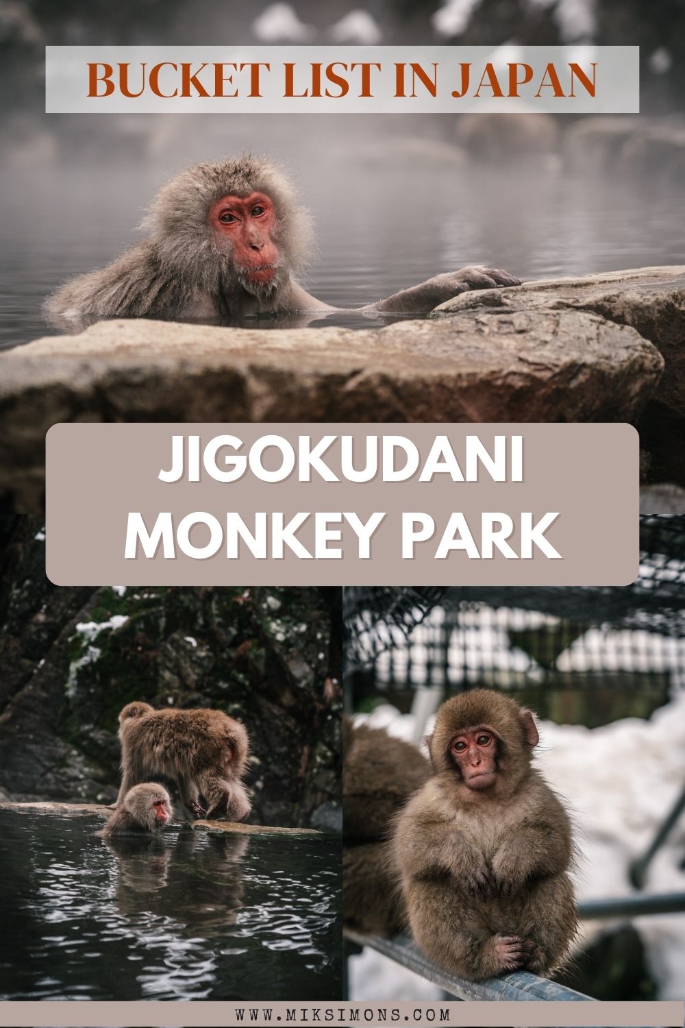 JIGOKUDANI MONKEY PARK - THE MOST FAMOUS HOT SPRING WITH MONKEYS IN JAPAN