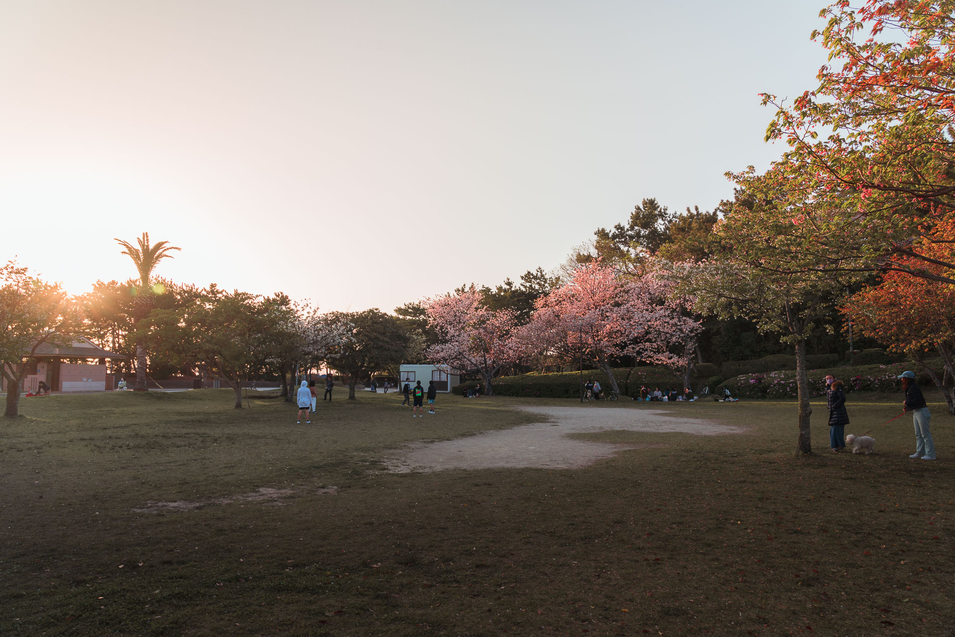 Meinohama - Odo Park2- BLOGPOST HQ-2