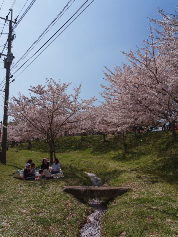 Minamizu - Rest stop and Cherry Blossom trees19- BLOGPOST HQ