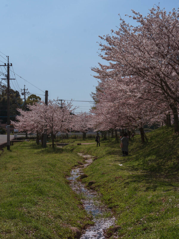 Minamizu - Rest stop and Cherry Blossom trees22- BLOGPOST HQ