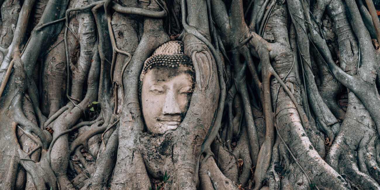 A day tour from Bangkok to Ayutthaya: The 6 best temples of Ayutthaya