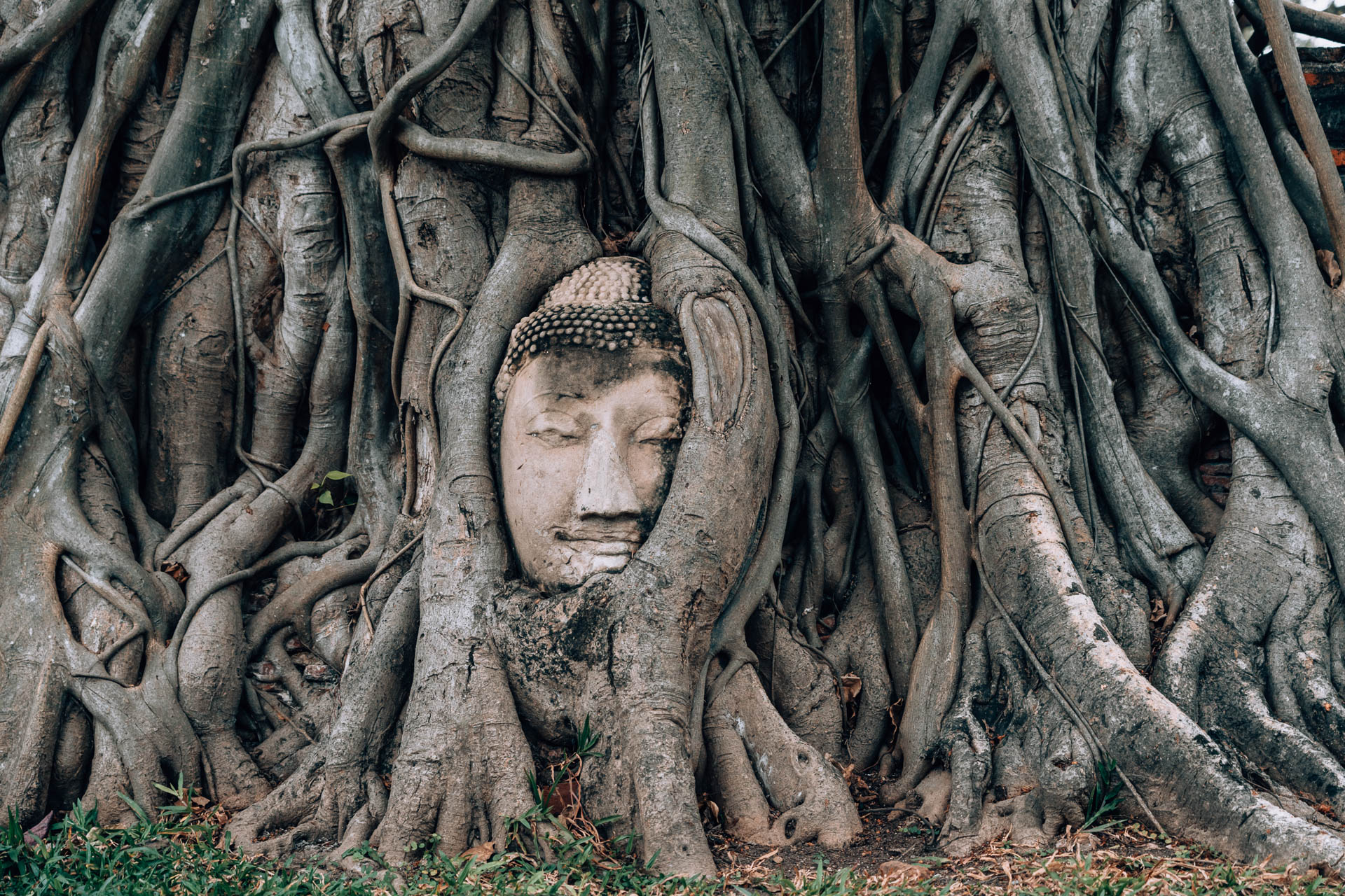 A day tour from Bangkok to Ayutthaya: The 6 best temples of Ayutthaya