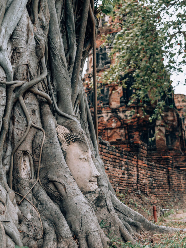 Thailand - Ayutthaya - Wat Mahathat76- BLOGPOST HQ