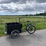 Milo 6 el-ladcykel til 6 børn
