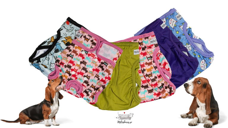 Read more about the article Best Dog Diapers Sweden