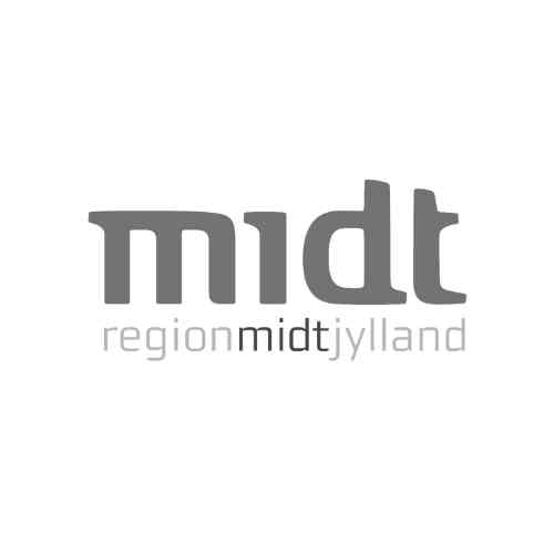 Lederudvikling, ledelse, ledersparring, profiltest, Enneagram Region Midtjylland