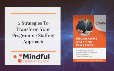 5 Strategies To Transform Your Programme Staffing Approach