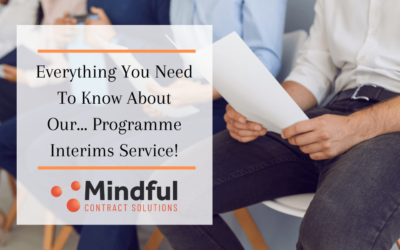 Everything You Need to Know About Our Programme Interims Service