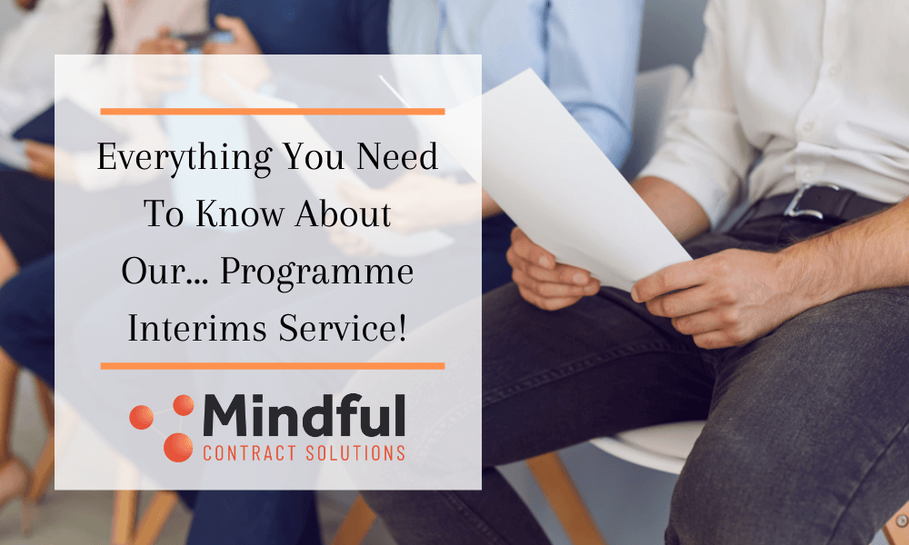 Programme Interims Service