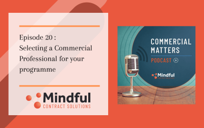 Episode 20: Selecting a Commercial Professional for your Programme