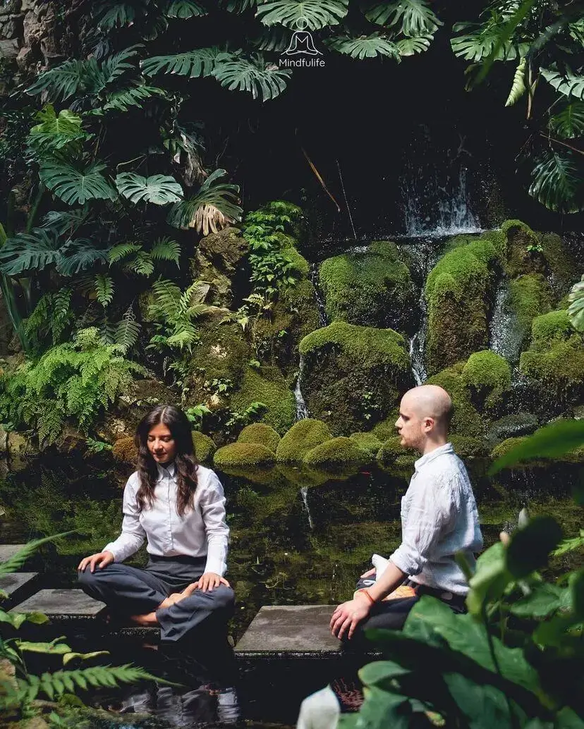 Tonka und Philipp (die Gründer von Mindfulife) meditieren in einem grünen Wald neben einem See und großen Pflanzen.