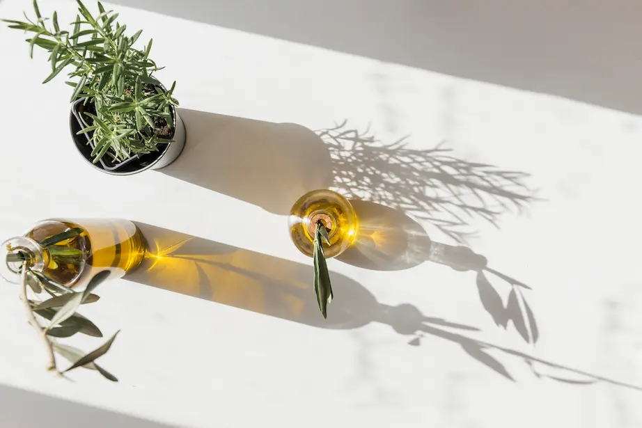 elevated view rosemary pot with two olives bottle sunlight
