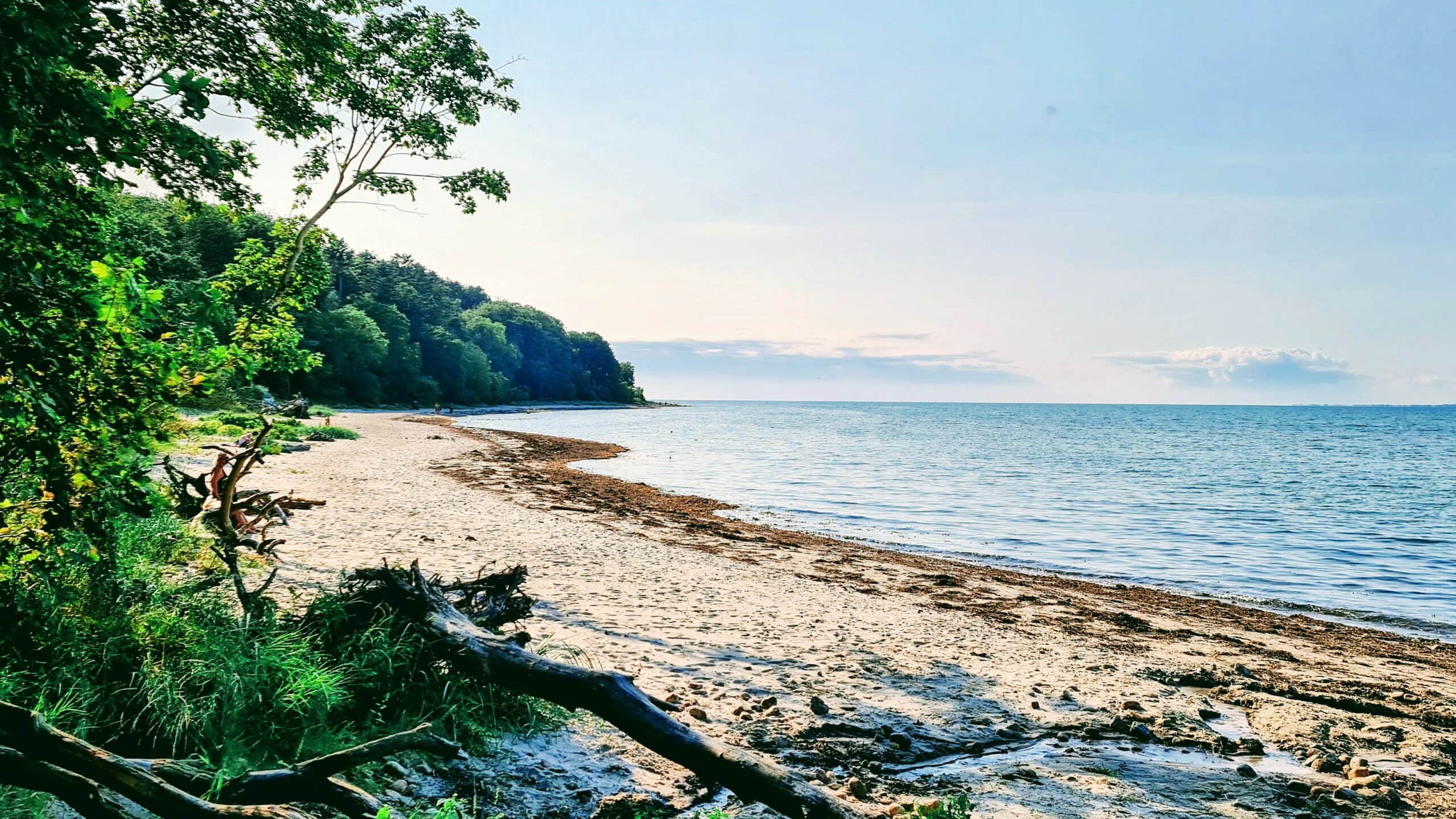 Høve strand