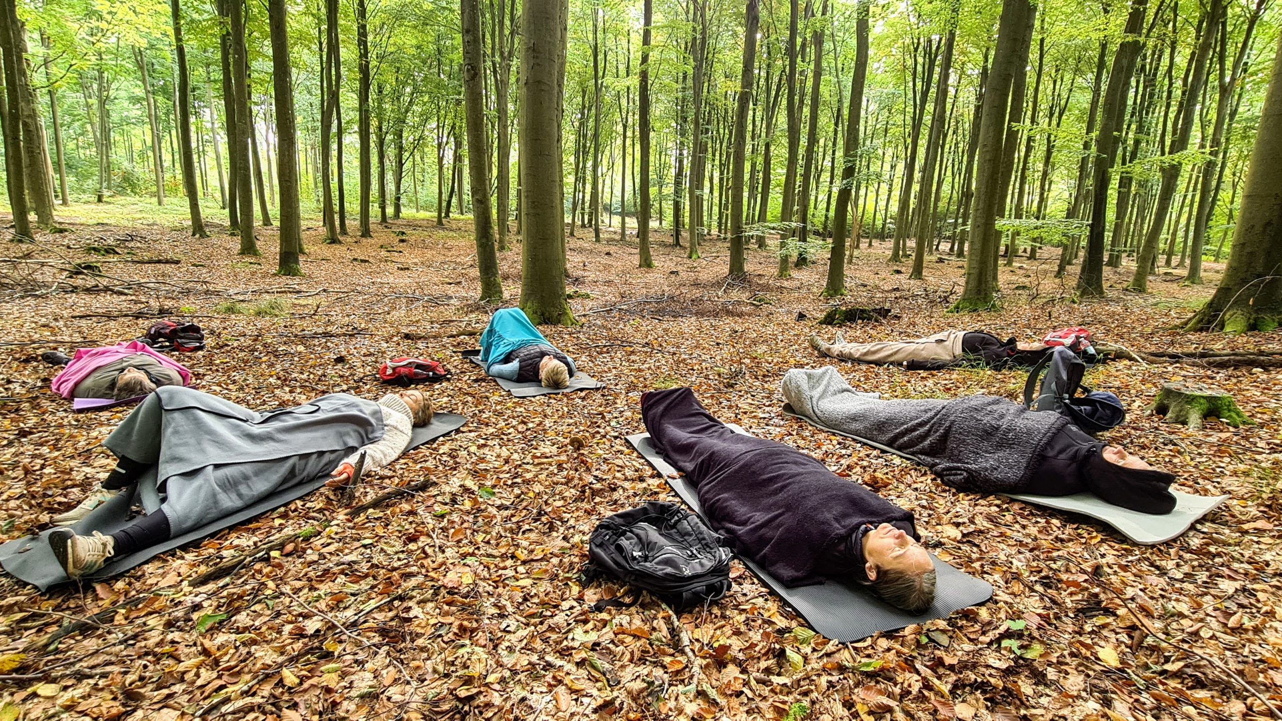 Naturmeditation i skoven ved Buresø