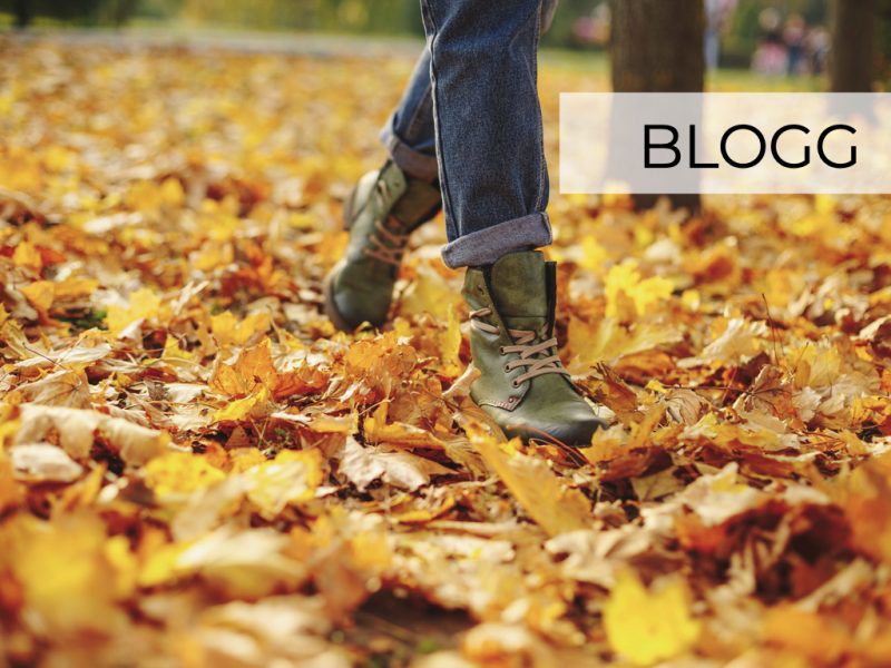 Lower your stress cortisol with an autumn walk