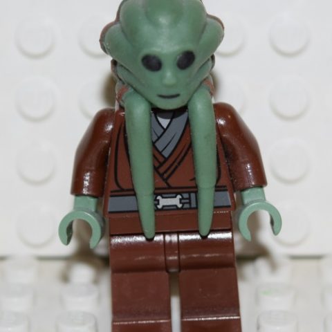 Sw0163 Kit Fisto