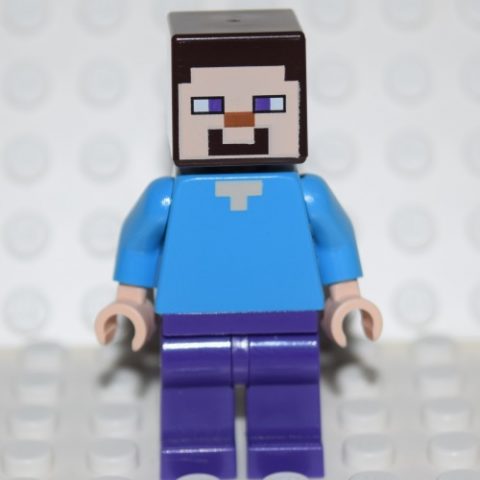 Min009 Steve