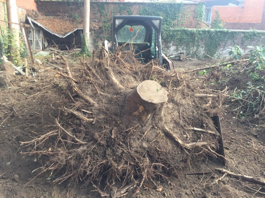 Dupa uitgraven boomstronken en ruimen van tuinen