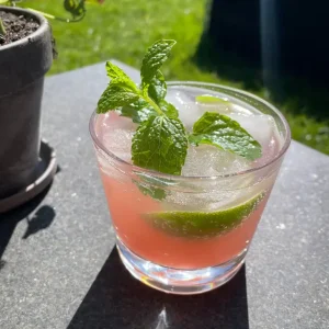 Rabarber mojito
