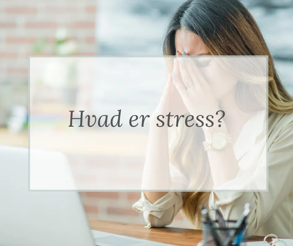 Hvad er stress