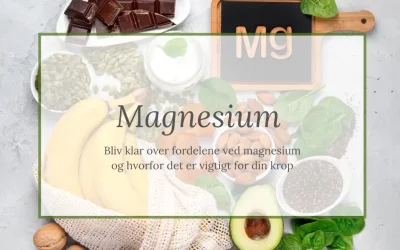 Magnesium – Hvad er det godt for?