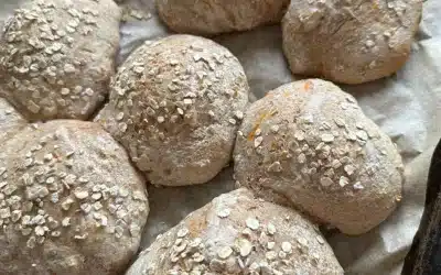 Grovboller med gulerod – Luftige koldhævede morgenboller