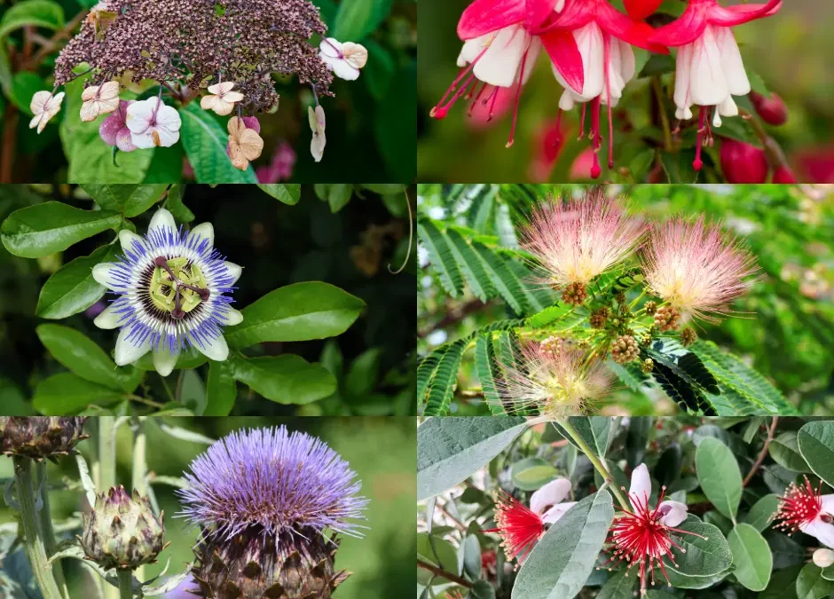Krukker Blomster: Skap Ditt Eget Grønne Paradis () Krukker Blomster: Skap Ditt Eget Grønne Paradis