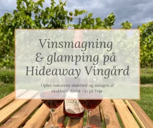 vinsmagning