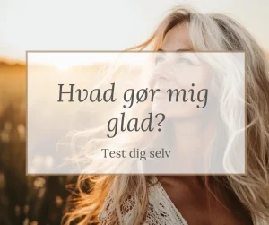 hvad gør mig glad test