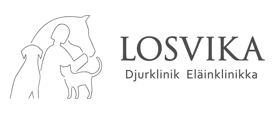 Sponsor_Losvika_GREY