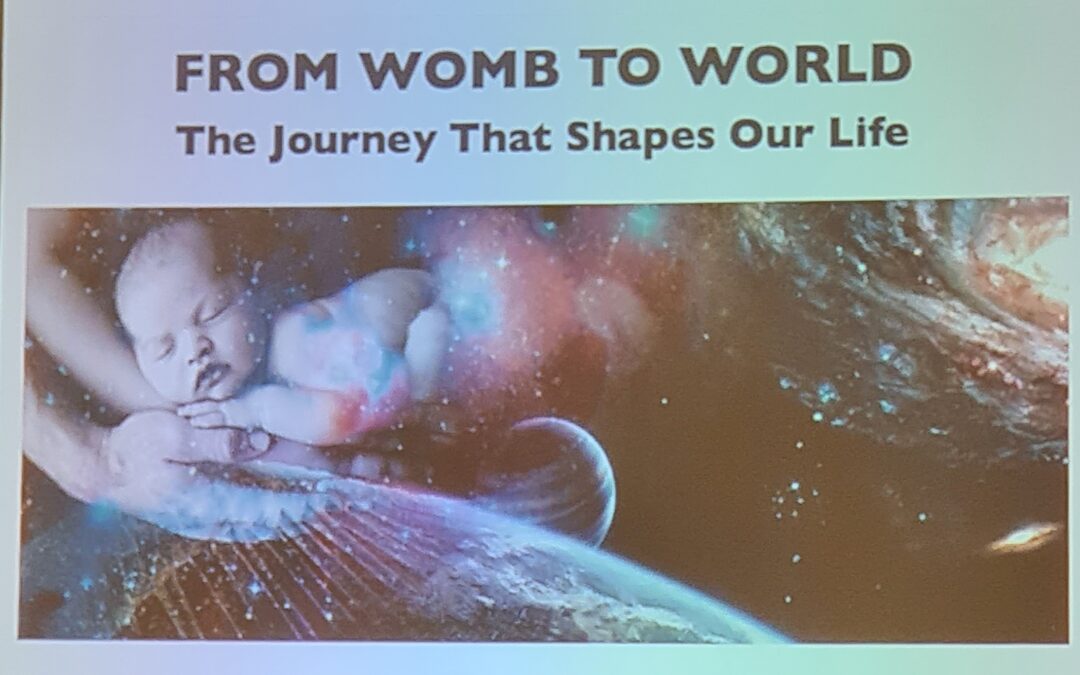 From womb to world – The journey that shapes our lives