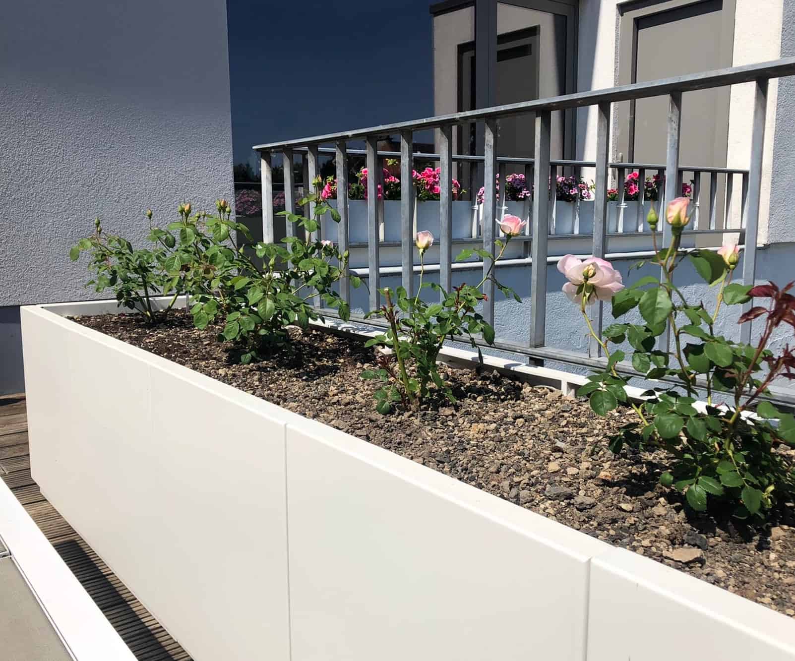 Dakterras bloembak plantenbak