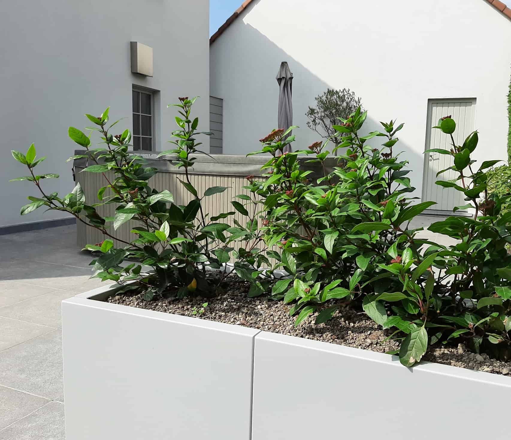 Plantenbakken voor meer privacy