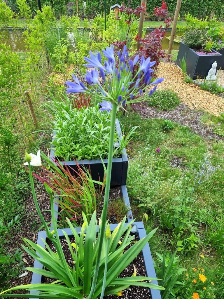 De bloemenweide en plantenbakken laten groen floreren in deze stadstuin, de wandelpaden en de zithoek zijn onthard met grind op grindstabilisatiematten.