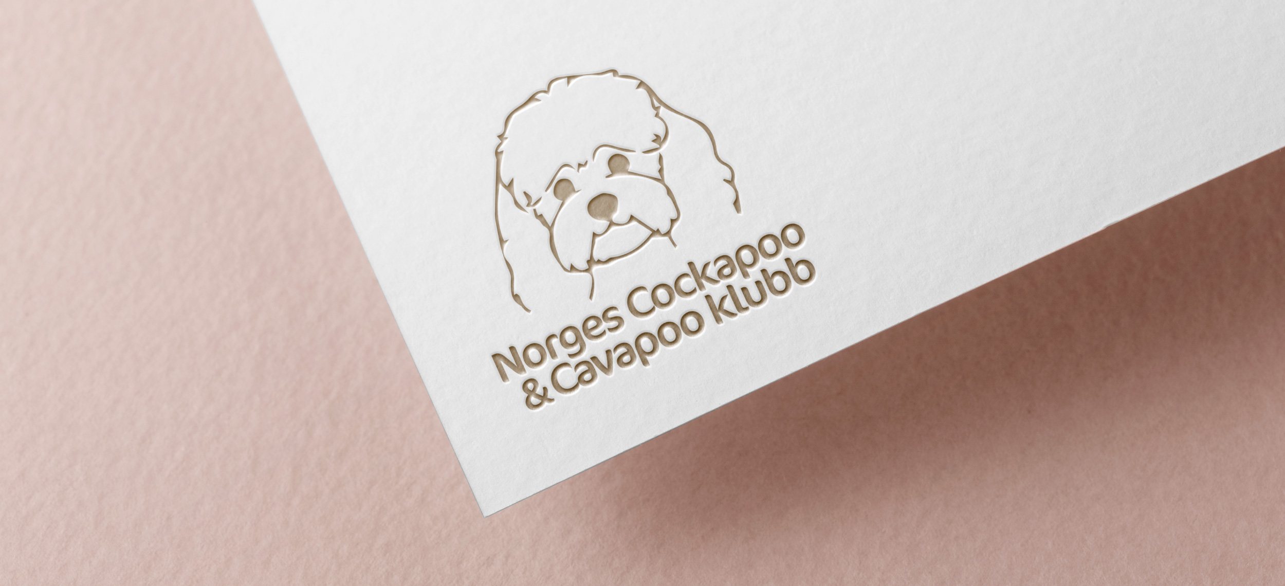 Cover-cavapoo