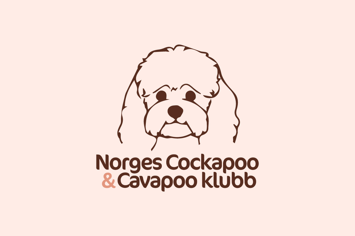 Cavapoo