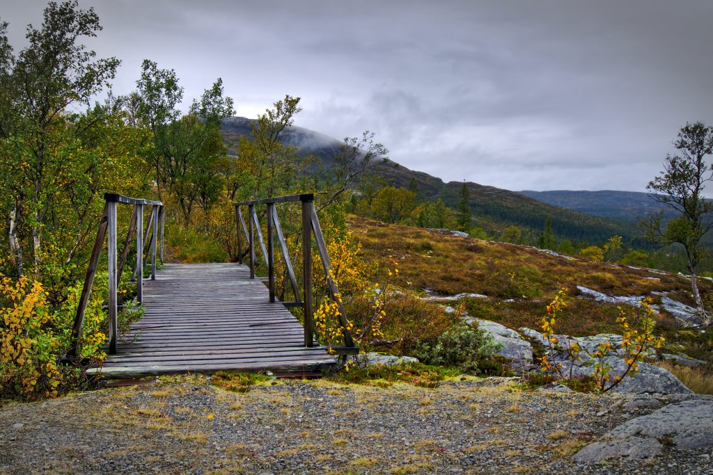 Brücke im Wald an der Grenze Norwegen/Schweden Fotoparade