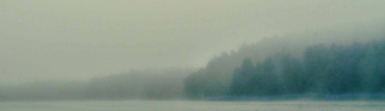 Wald im Nebel, Norwegen Bildqualität