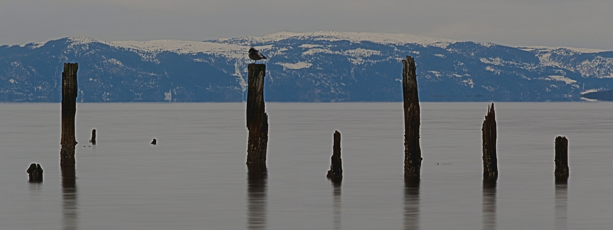 Blick über den Trondheimfjord Panoramafotografie