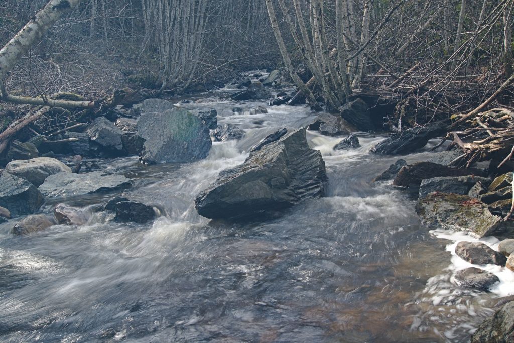 Kontrastarmes Bild, das ohne Gegenlichtblende fotografiert wurde.streulichtblende