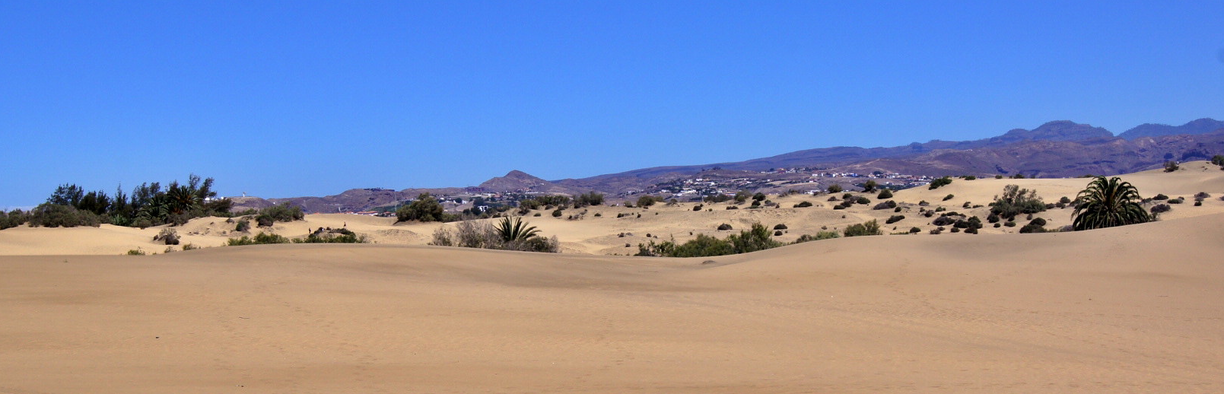 Strand Dünen Maspalomas gran Canaria