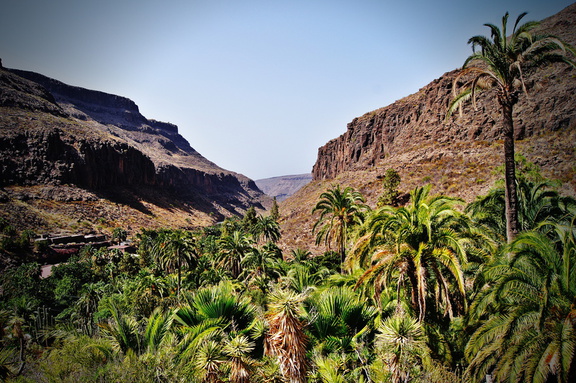 Aussicht Palmitos park Gran Canaria